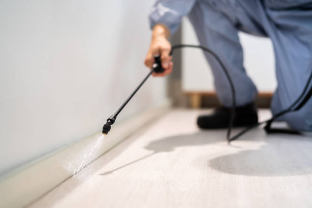 Licensed Fumigation Services service in Fannin County County, TX - Nex Pest Control
